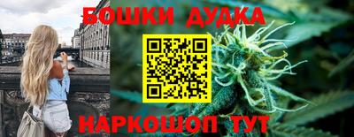 Альфа ПВП Новодвинск