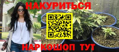 дурь Новокубанск